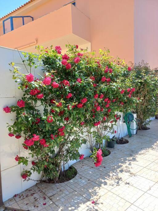 דירות אנטוגויה דה באלייה Casa Do Portao Azul - Dourada מראה חיצוני תמונה